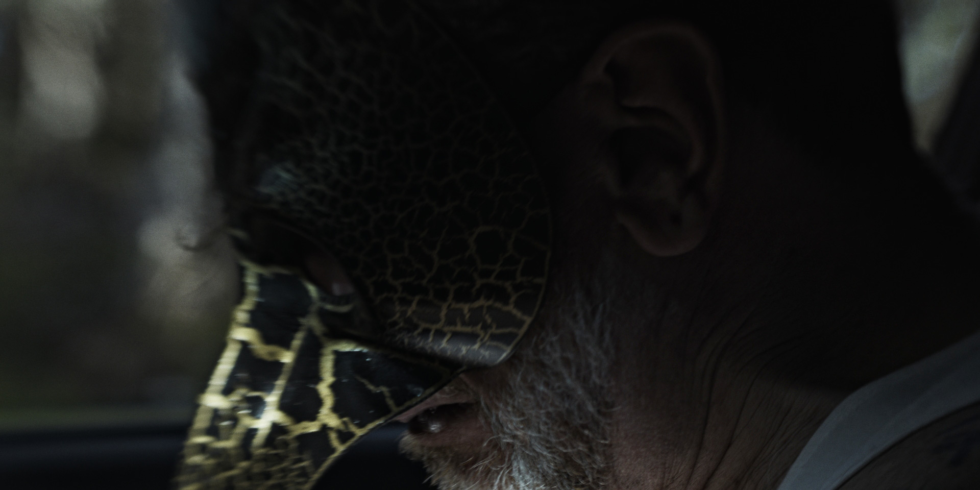 Larva short film