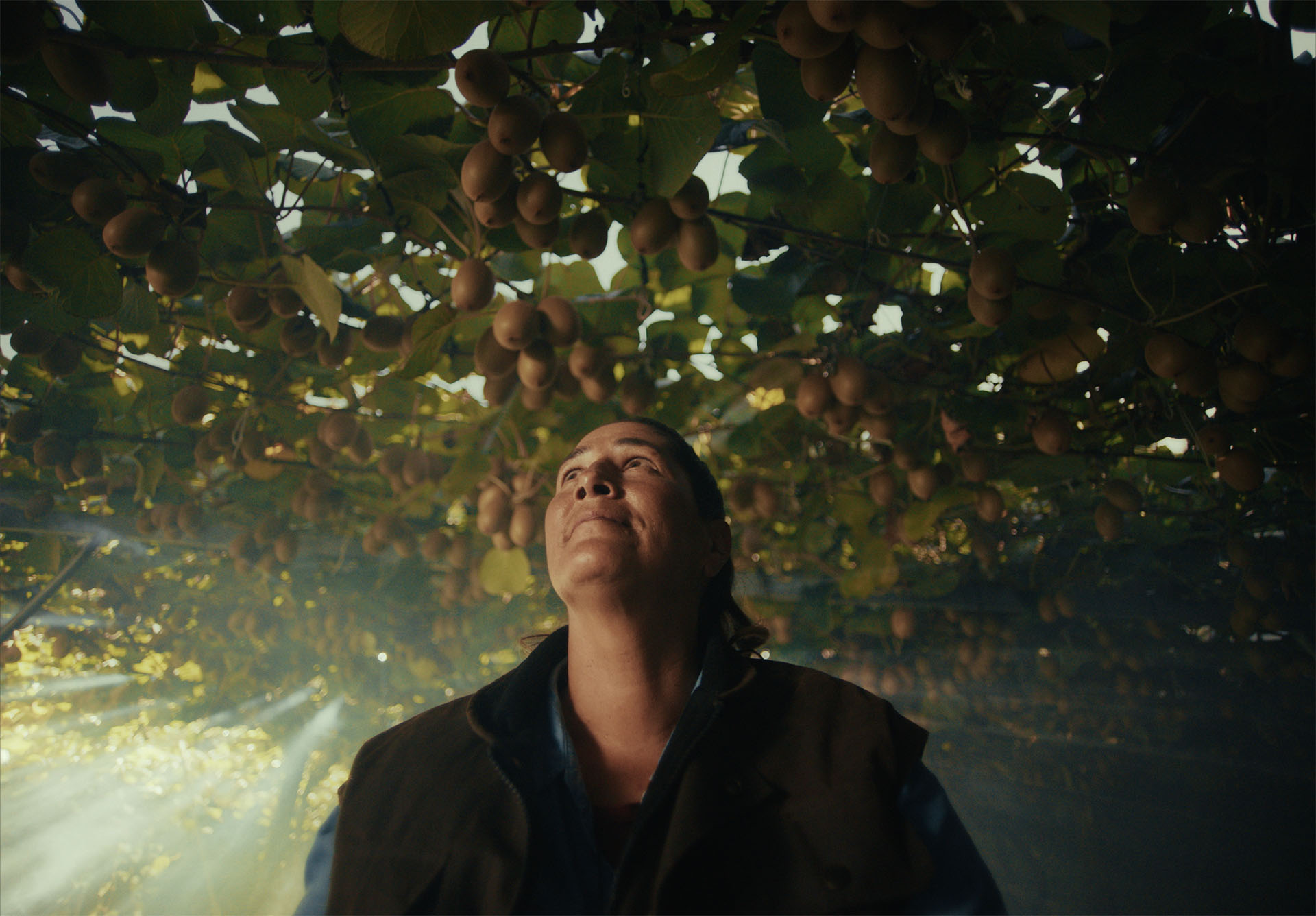 Zespri Organics